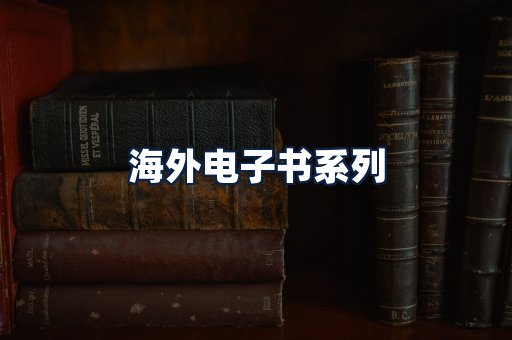 海外电子书